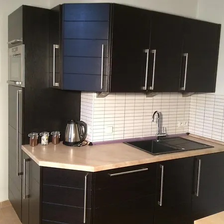 Sirius C In Center Of Cb. Apartman České Budějovice