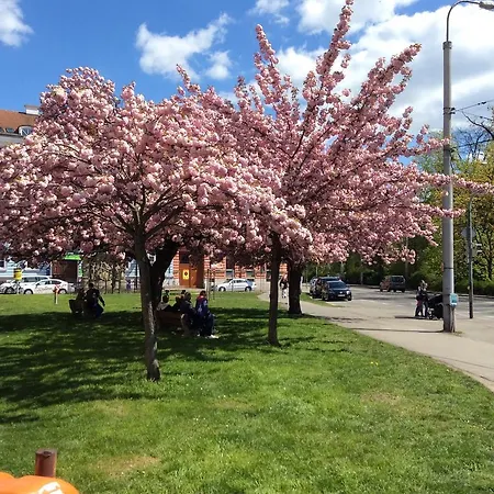 Apartman Sirius C In Center Of Cb. České Budějovice