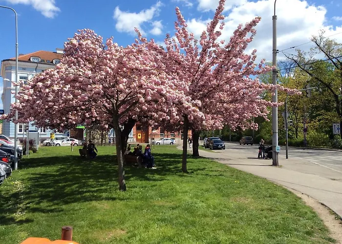 Apartman Sirius C In Center Of Cb. České Budějovice